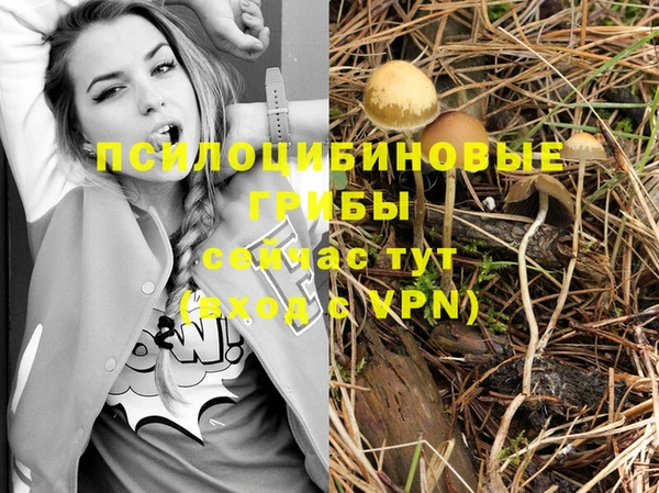 мяу мяу кристалл Армянск