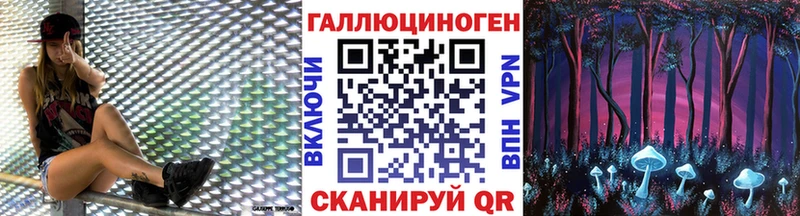 закладки  Луга  Галлюциногенные грибы мицелий 